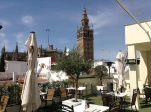 Hotel palacio alcazar 2