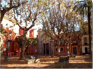 Top5plazas3