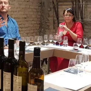 Andalusian Wine Tasting and Flamenco Experience