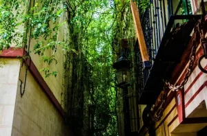 La magica calle verde de san bartolome uno de los barrios mas desconocidos de sevilla 6650 570x